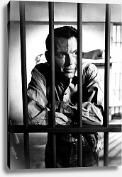 Постер Sinatra, Frank (Man With The Golden Arm, The) 2 Постер Sinatra, Frank (Man With The Golden Arm, The) 2