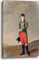 Постер Бойли Луи Baron de Galz de Malvirade in the uniform of the Emperor's page Постер Бойли Луи Baron de Galz de Malvirade in the uniform of the Emperor's page