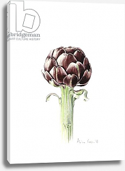 Постер Купер Алисон (бот) Artichoke from Roman market, 2016 Постер Купер Алисон (бот) Artichoke from Roman market, 2016