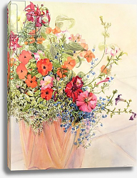 Постер Фивси Джоан (совр) Petunias, Lobelias, Busy Lizzies and Fuschia in a Terracotta Pot Постер Фивси Джоан (совр) Petunias, Lobelias, Busy Lizzies and Fuschia in a Terracotta Pot