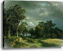 Постер Ширмер Йоханн The Path on the Edge of the Wood, c.1851 Постер Ширмер Йоханн The Path on the Edge of the Wood, c.1851