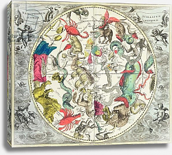 Постер Селлариус Адре (карты) Map of the Southern Hemisphere, from 'The Celestial Atlas, 1660-61 Постер Селлариус Адре (карты) Map of the Southern Hemisphere, from 'The Celestial Atlas, 1660-61