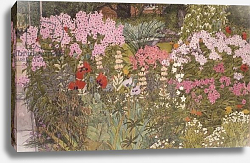 Постер Бентон Линда (совр) Pink Phlox in the Herbaceous Border Постер Бентон Линда (совр) Pink Phlox in the Herbaceous Border