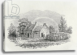 Постер Бевик Томас Cockfight Outside an Inn, c.1801, from 'Landbirds', published 1805 Постер Бевик Томас Cockfight Outside an Inn, c.1801, from 'Landbirds', published 1805