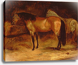 Постер Жерико Теодор A Bay Horse at a manger, with a grey horse in a rug Постер Жерико Теодор A Bay Horse at a manger, with a grey horse in a rug