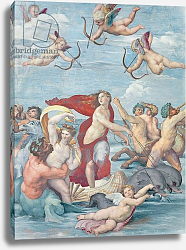 Постер Рафаэль (Raphael Santi) The Triumph of Galatea, 1512-14 Постер Рафаэль (Raphael Santi) The Triumph of Galatea, 1512-14