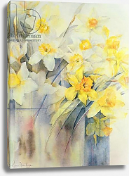 Постер Армитаж Карен (совр) Mixed Daffodils in a Tank Постер Армитаж Карен (совр) Mixed Daffodils in a Tank