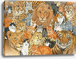 Постер Дитц (совр) Semi Wild Cat Spread Постер Дитц (совр) Semi Wild Cat Spread