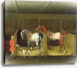 Постер Сеймур Джеймс The Stables and Two Famous Running Horses belonging to His Grace, the Duke of Bolton, 1747 Постер Сеймур Джеймс The Stables and Two Famous Running Horses belonging to His Grace, the Duke of Bolton, 1747