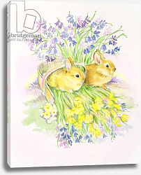 Постер Мэттьюз Диана (совр) Rabbits in a basket with Daffodils and Bluebells Постер Мэттьюз Диана (совр) Rabbits in a basket with Daffodils and Bluebells