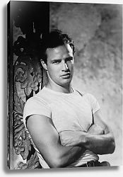 Постер Brando, Marlon (A Streetcar Named Desire) 3 Постер Brando, Marlon (A Streetcar Named Desire) 3