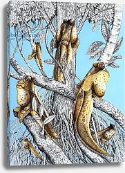 Постер Кэтрайт Уильям (животные) Fish Out of Water, from 'Nature's Kingdom' Постер Кэтрайт Уильям (животные) Fish Out of Water, from 'Nature's Kingdom'