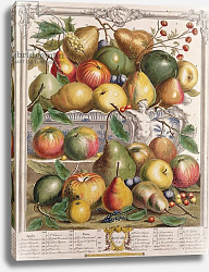 Постер Кастилс Питер January, from 'Twelve Months of Fruits', by Robert Furber engraved by Gerard Vandergucht 1732 Постер Кастилс Питер January, from 'Twelve Months of Fruits', by Robert Furber engraved by Gerard Vandergucht 1732