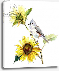 Постер Килинг Джон (совр) Titmouse with Sunflower, 2016, Постер Килинг Джон (совр) Titmouse with Sunflower, 2016,
