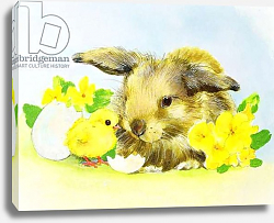 Постер Мэттьюз Диана (совр) Easter bunny with primrose and chick Постер Мэттьюз Диана (совр) Easter bunny with primrose and chick