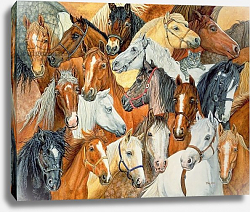 Постер Дитц (совр) Dee's Horse-Blanket Постер Дитц (совр) Dee's Horse-Blanket