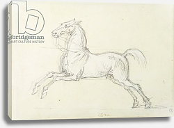 Постер Сеймур Джеймс 'Flying Childers' galloping to left: bridled but not saddled Постер Сеймур Джеймс 'Flying Childers' galloping to left: bridled but not saddled
