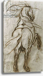 Постер Калло Жак Study of a Rearing Horse, with a Subsidiary Study of the Same and a View of a Town, Постер Калло Жак Study of a Rearing Horse, with a Subsidiary Study of the Same and a View of a Town,