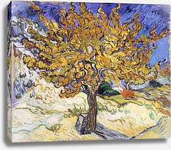 Постер Ван Гог Винсент (Vincent Van Gogh) Mulberry Tree, 1889 Постер Ван Гог Винсент (Vincent Van Gogh) Mulberry Tree, 1889