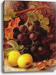 Постер Клер Винсент Grapes, Apples and Gooseberries Постер Клер Винсент Grapes, Apples and Gooseberries