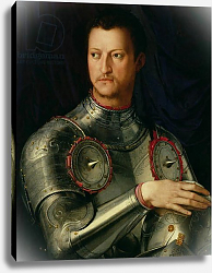 Постер Бронзино Анджело Portrait of Cosimo I de Medici Постер Бронзино Анджело Portrait of Cosimo I de Medici