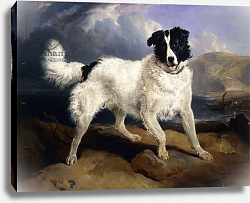Постер Лэндсир Эдвин A Portrait of Neptune, 1824 Постер Лэндсир Эдвин A Portrait of Neptune, 1824