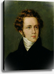 Постер Школа: Итальянская 19в Portrait of Vincenzo Bellini 1887 Постер Школа: Итальянская 19в Portrait of Vincenzo Bellini 1887