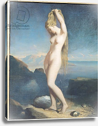Постер Чассеро Теодор Venus Anadyomene, or Venus of the Sea, 1838 Постер Чассеро Теодор Venus Anadyomene, or Venus of the Sea, 1838