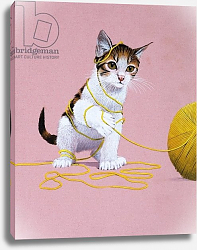 Постер Школа: Английская 20в. Kitten with Ball of Wool Постер Школа: Английская 20в. Kitten with Ball of Wool