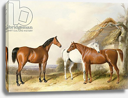 Постер Барроуд Уильям Outside the Stable, 1845 Постер Барроуд Уильям Outside the Stable, 1845