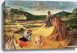 Постер Беллини Джованни The Agony in the Garden, c.1465 Постер Беллини Джованни The Agony in the Garden, c.1465
