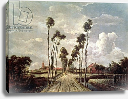 Постер Хоббема Мейндрат (Meindert Hobbema) The Avenue at Middelharnis, 1689 Постер Хоббема Мейндрат (Meindert Hobbema) The Avenue at Middelharnis, 1689