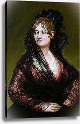 Постер Гойя Франсиско (Francisco de Goya) Dona Isabel de Porcel, exh. 1805 Постер Гойя Франсиско (Francisco de Goya) Dona Isabel de Porcel, exh. 1805