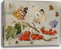 Постер Кессель Ян A still life with sprig of Redcurrants, butterflies, beetles, caterpillar and insects Постер Кессель Ян A still life with sprig of Redcurrants, butterflies, beetles, caterpillar and insects
