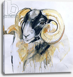 Постер Гиббс Лоу (совр) Long Horn Sheep 2 Постер Гиббс Лоу (совр) Long Horn Sheep 2
