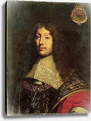 Постер Чассеро Теодор Portrait of Francois VI Duke of La Rochefoucauld, 1836 Постер Чассеро Теодор Portrait of Francois VI Duke of La Rochefoucauld, 1836