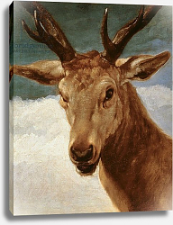Постер Веласкес Диего (DiegoVelazquez) Head of a Stag, 1634 Постер Веласкес Диего (DiegoVelazquez) Head of a Stag, 1634