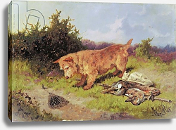 Постер Батт Артур Terrier Watching a Rabbit Trap, 1887 Постер Батт Артур Terrier Watching a Rabbit Trap, 1887