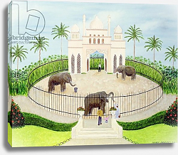 Постер Баринг Марк (совр) The Elephant House, 1984 Постер Баринг Марк (совр) The Elephant House, 1984