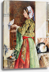 Постер Льюис Джон Girl with Two Caged Doves, Cairo, 1864 Постер Льюис Джон Girl with Two Caged Doves, Cairo, 1864