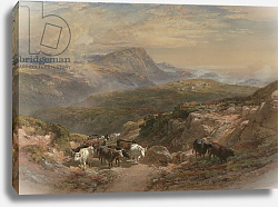 Постер Лейтш Уильям Scene in the Highlands, 19th century Постер Лейтш Уильям Scene in the Highlands, 19th century