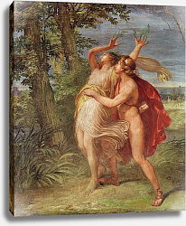 Постер Аппиани Андреа Apollo and Daphne Постер Аппиани Андреа Apollo and Daphne