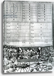 Постер Школа: Голландская 18в. Table II from 'Elenchus Tabularum' by Levinus Vincent, published 1719 Постер Школа: Голландская 18в. Table II from 'Elenchus Tabularum' by Levinus Vincent, published 1719