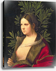 Постер Джорджоне Portrait of a Young Woman, 1506 Постер Джорджоне Portrait of a Young Woman, 1506