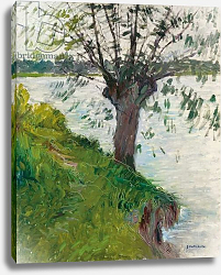 Постер Кайботт Гюстав (Gustave Caillebotte) Willow by the River; Saule au bord de la riviere, c. 1891 Постер Кайботт Гюстав (Gustave Caillebotte) Willow by the River; Saule au bord de la riviere, c. 1891