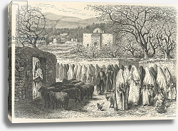 Постер Риоу Эдуард Marabout and Procession: Tlemcen, engraved by Henri Theophile Hildibrand Постер Риоу Эдуард Marabout and Procession: Tlemcen, engraved by Henri Theophile Hildibrand