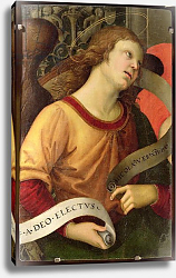 Постер Рафаэль (Raphael Santi) Angel, from the polyptych of St. Nicolas of Tolentino, 1501 Постер Рафаэль (Raphael Santi) Angel, from the polyptych of St. Nicolas of Tolentino, 1501