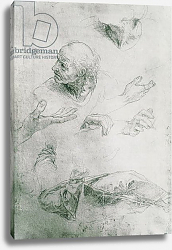 Постер Рафаэль (Raphael Santi) Studies for the Figure of Bramante Постер Рафаэль (Raphael Santi) Studies for the Figure of Bramante