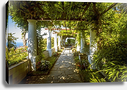 Постер Италия, капри. The gardens of Villa San Michele Постер Италия, капри. The gardens of Villa San Michele