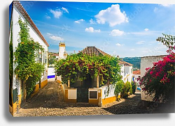 Постер Португалия, Обидуш. Beautiful streets in the medieval town Постер Португалия, Обидуш. Beautiful streets in the medieval town